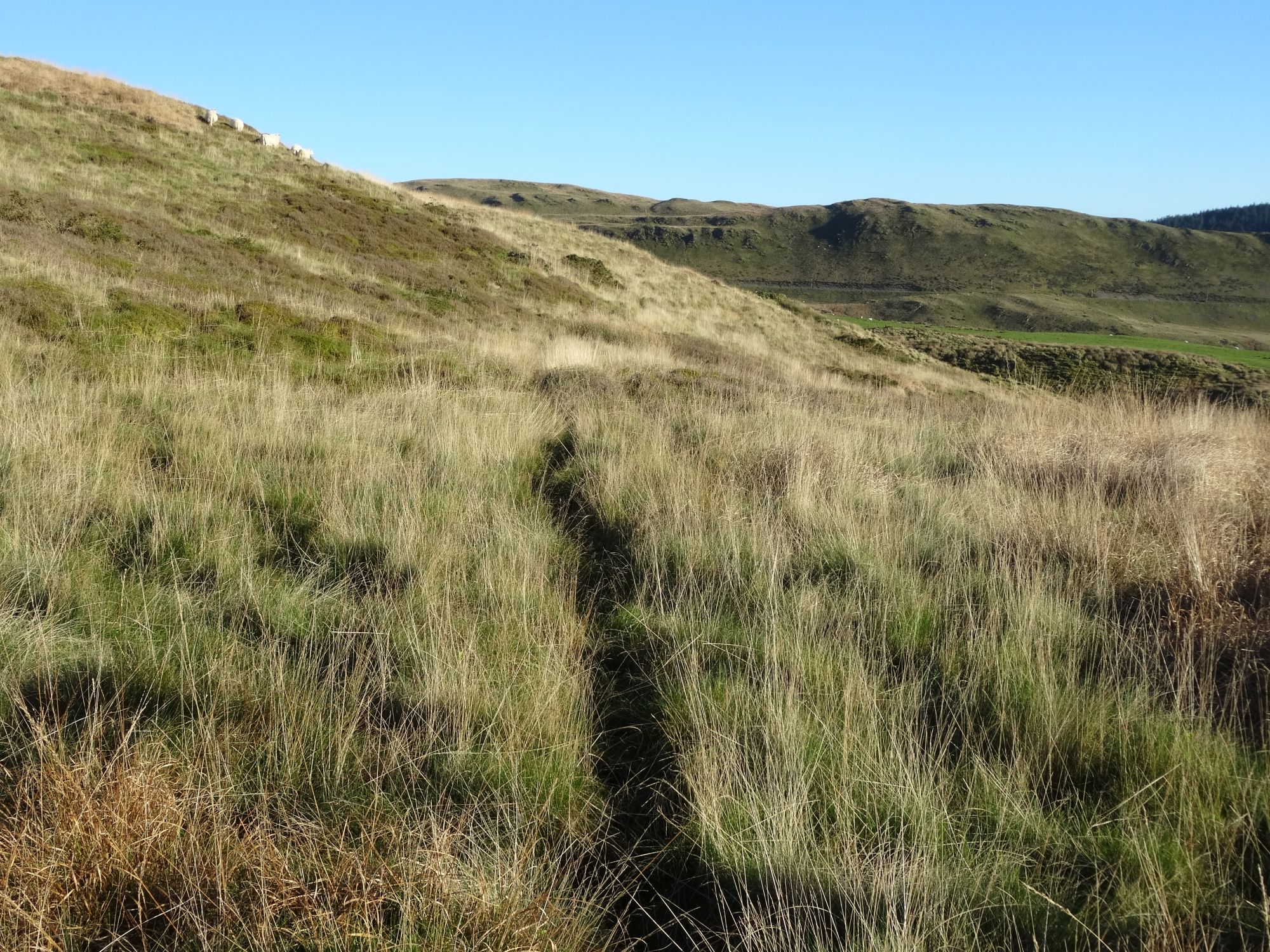 RachelSeabrook.net | Wild Walking | Moel y Llyn | pic30